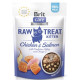Ласощі Brit Raw Treat Freeze-dried Kitten д/кошенят курка і лосось 40 г