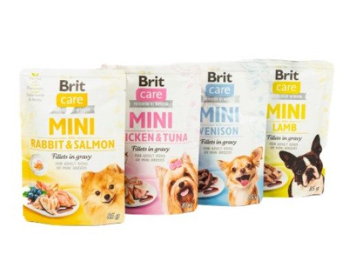 НАБІР Brit Care Mini мікс для дорослих собак 3+1