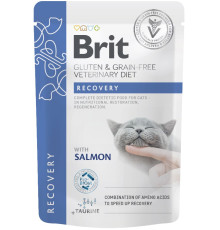Корм вологий для котів Brit GF VetDiet Recovery з лососем, 85 г